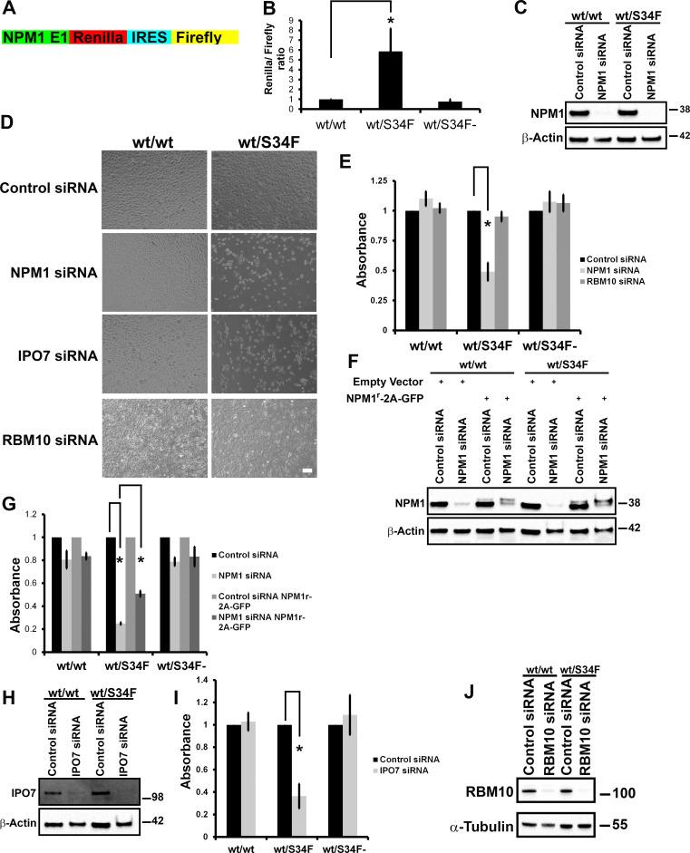 https://cdn.ncbi.nlm.nih.gov/pmc/blobs/4b15/7660540/0927f0488426/pbio.3000920.g002.jpg