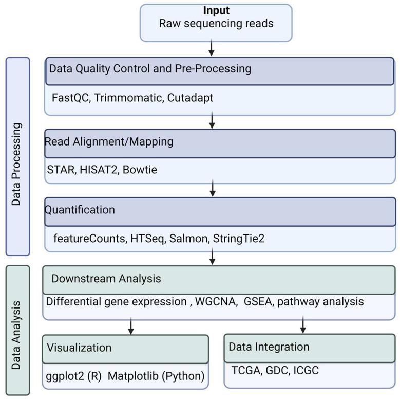 https://cdn.ncbi.nlm.nih.gov/pmc/blobs/4b16/11353282/820227bc2882/genes-15-01036-g002.jpg