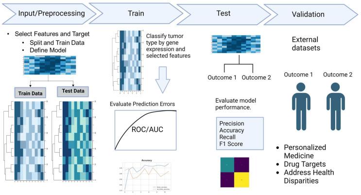 https://cdn.ncbi.nlm.nih.gov/pmc/blobs/4b16/11353282/d70a9d550f9a/genes-15-01036-g003.jpg