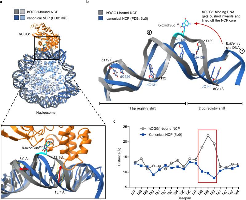 https://cdn.ncbi.nlm.nih.gov/pmc/blobs/4b17/11526172/e70ca09e3d0d/41467_2024_53811_Fig3_HTML.jpg
