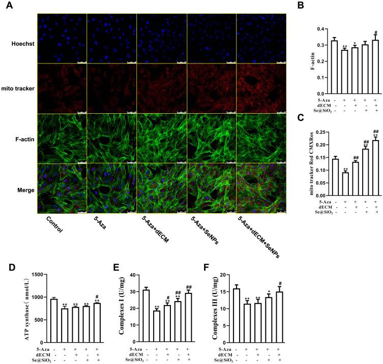 https://cdn.ncbi.nlm.nih.gov/pmc/blobs/4b18/10726970/1a218b0d1181/IJN-18-7661-g0007.jpg