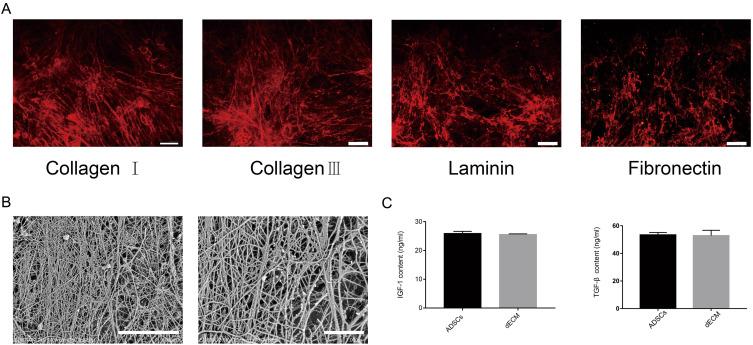 https://cdn.ncbi.nlm.nih.gov/pmc/blobs/4b18/10726970/59a00c248132/IJN-18-7661-g0003.jpg
