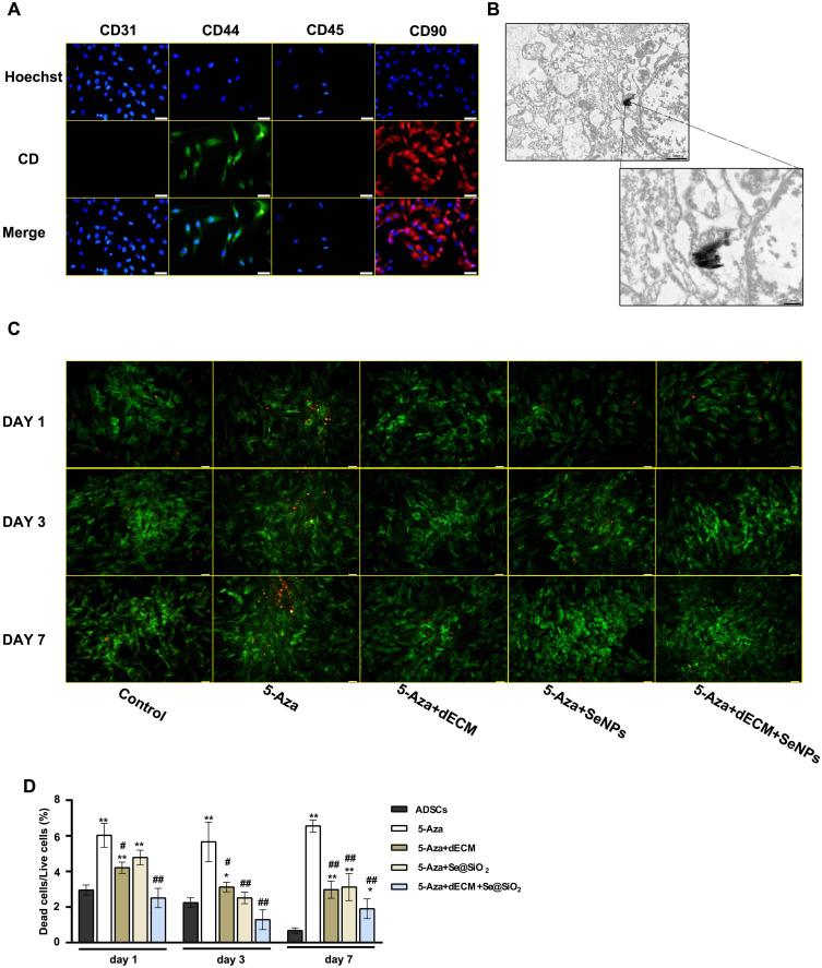 https://cdn.ncbi.nlm.nih.gov/pmc/blobs/4b18/10726970/96b2a585b6c1/IJN-18-7661-g0004.jpg