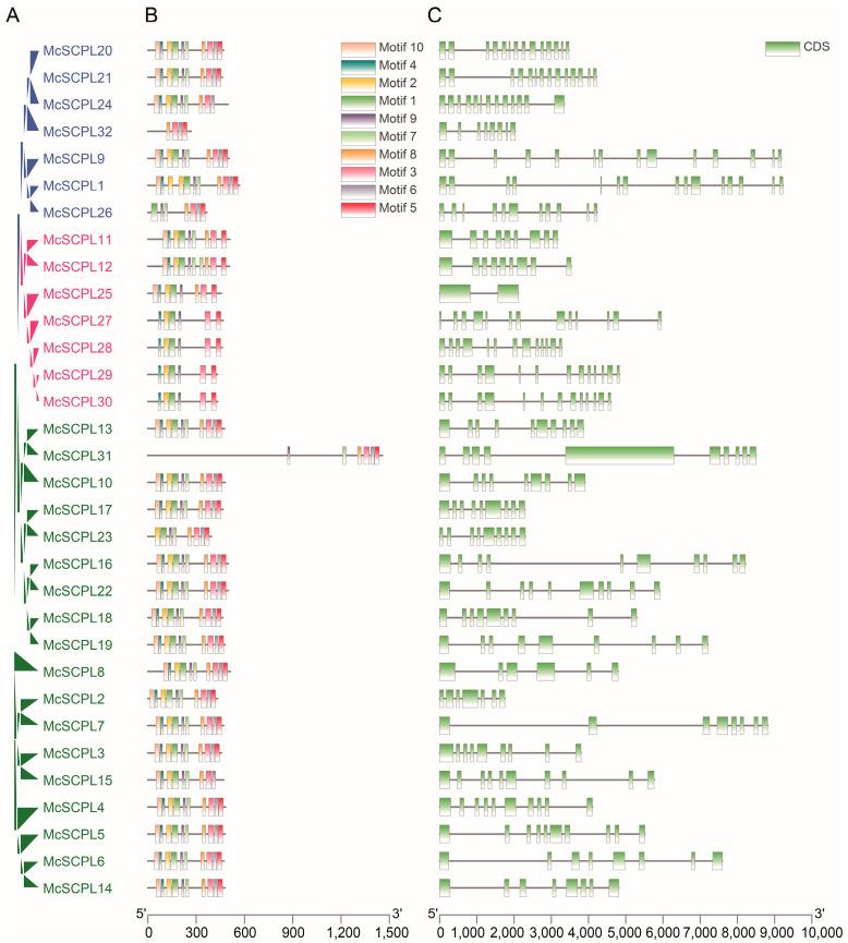 https://cdn.ncbi.nlm.nih.gov/pmc/blobs/4b18/11546080/c40a8afaa635/ijms-25-11816-g002.jpg