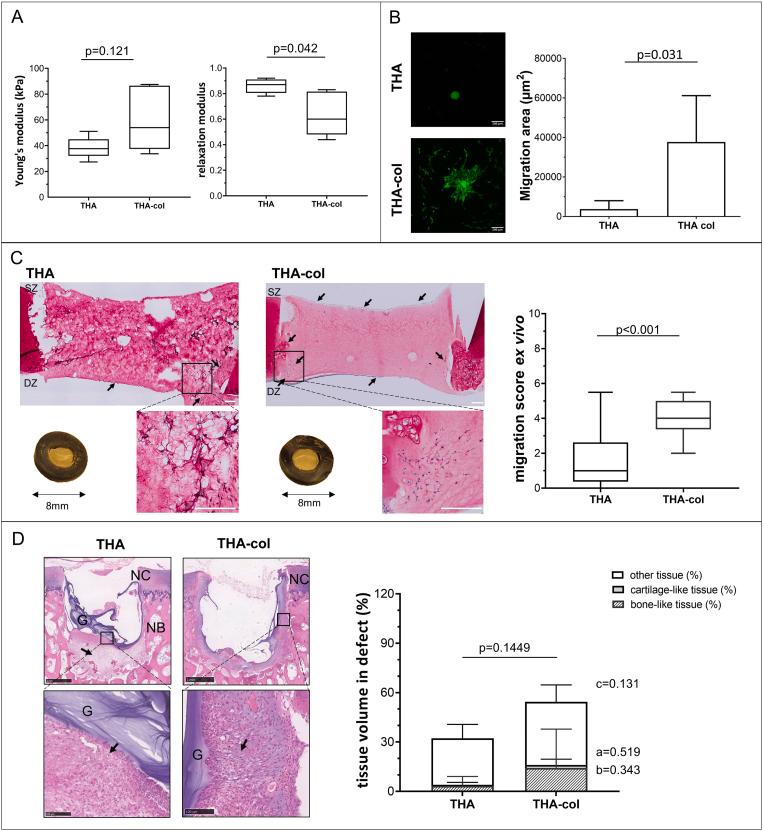 https://cdn.ncbi.nlm.nih.gov/pmc/blobs/4b1a/10485598/41267b9c2f49/gr5.jpg