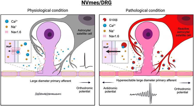 https://cdn.ncbi.nlm.nih.gov/pmc/blobs/4b1b/10988680/2ae4221ad504/EPH-109-100-g003.jpg
