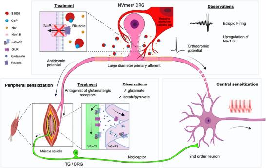 https://cdn.ncbi.nlm.nih.gov/pmc/blobs/4b1b/10988680/9ff1caf4c7e1/EPH-109-100-g004.jpg