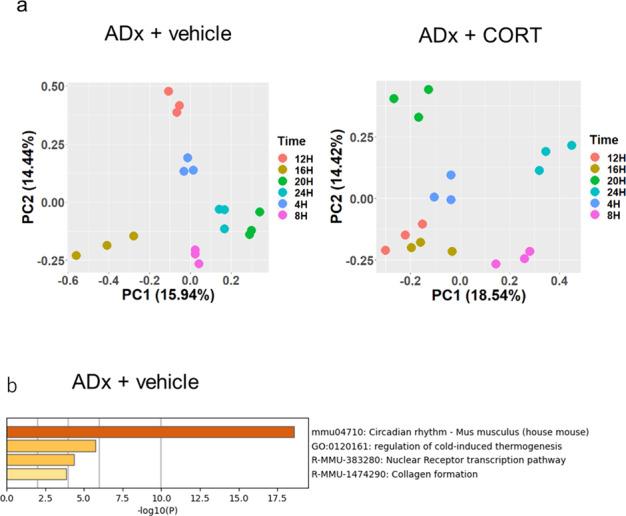https://cdn.ncbi.nlm.nih.gov/pmc/blobs/4b1b/9867708/0db0fd7a4c62/42003_2023_4464_Fig7_HTML.jpg