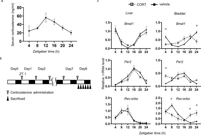 https://cdn.ncbi.nlm.nih.gov/pmc/blobs/4b1b/9867708/800a7d702c44/42003_2023_4464_Fig3_HTML.jpg