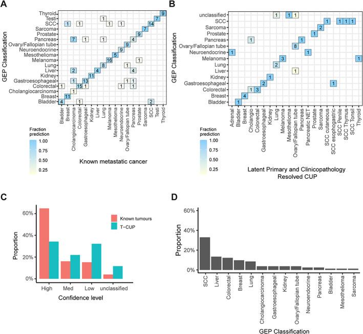 https://cdn.ncbi.nlm.nih.gov/pmc/blobs/4b1e/10099529/1214aab9c550/PATH-259-81-g003.jpg