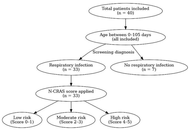 https://cdn.ncbi.nlm.nih.gov/pmc/blobs/4b1e/12191812/db18dbe1066c/children-12-00746-g001.jpg