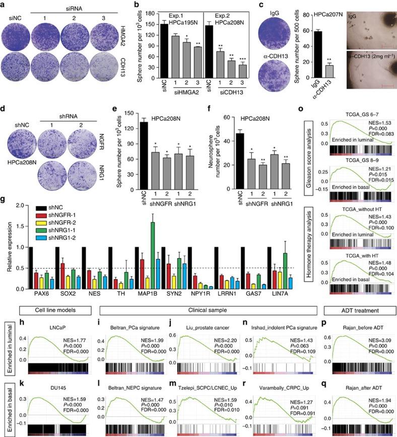 https://cdn.ncbi.nlm.nih.gov/pmc/blobs/4b1e/4773505/4f219e60cc1a/ncomms10798-f6.jpg