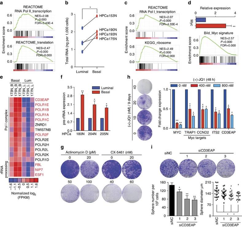 https://cdn.ncbi.nlm.nih.gov/pmc/blobs/4b1e/4773505/6abb68226c2b/ncomms10798-f4.jpg