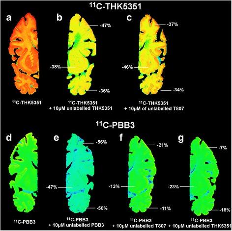 https://cdn.ncbi.nlm.nih.gov/pmc/blobs/4b1e/5725799/ddb3f4500c54/13195_2017_325_Fig6_HTML.jpg