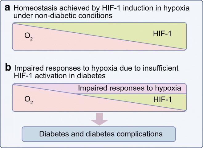 https://cdn.ncbi.nlm.nih.gov/pmc/blobs/4b1e/7940280/d0a76fc286fa/125_2021_5380_Fig2_HTML.jpg