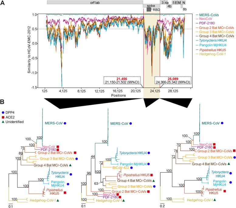https://cdn.ncbi.nlm.nih.gov/pmc/blobs/4b20/11008012/0b48e1e737d6/12985_2024_2358_Fig2_HTML.jpg