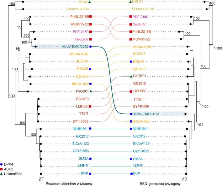https://cdn.ncbi.nlm.nih.gov/pmc/blobs/4b20/11008012/a518160a5884/12985_2024_2358_Fig3_HTML.jpg