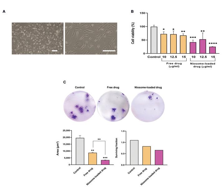 https://cdn.ncbi.nlm.nih.gov/pmc/blobs/4b23/10331445/bf4249865c4c/Cell-J-25-407-g02.jpg