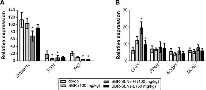 https://cdn.ncbi.nlm.nih.gov/pmc/blobs/4b23/4531046/ebb16855efc2/ijn-10-5049Fig6.jpg