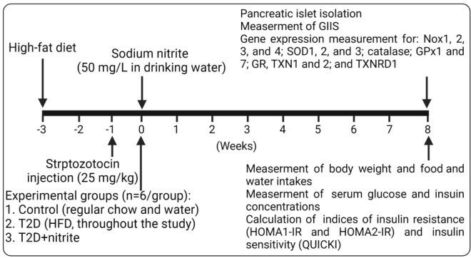 https://cdn.ncbi.nlm.nih.gov/pmc/blobs/4b24/10008387/70f0af1190b0/IJBMS-26-420-g001.jpg