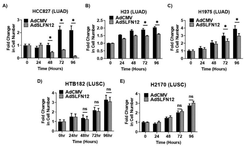 https://cdn.ncbi.nlm.nih.gov/pmc/blobs/4b24/7650563/7a3d1c44a6cf/cancers-12-02738-g003.jpg