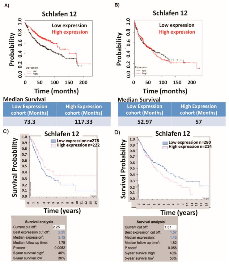 https://cdn.ncbi.nlm.nih.gov/pmc/blobs/4b24/7650563/ecc3c34e847f/cancers-12-02738-g001.jpg