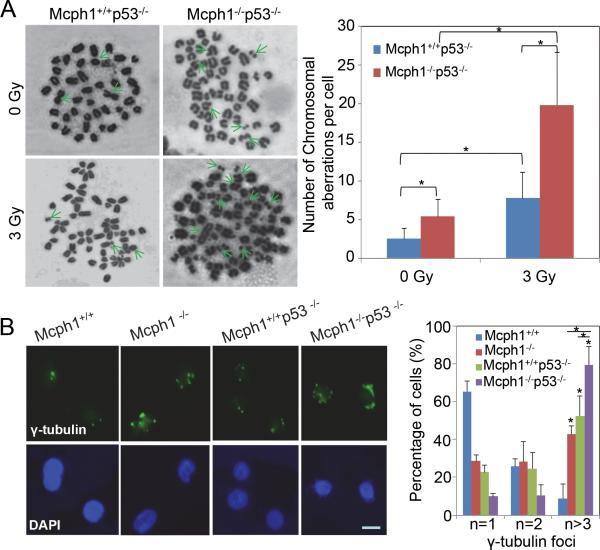 https://cdn.ncbi.nlm.nih.gov/pmc/blobs/4b26/4417661/2bc1d4cdc258/nihms-632239-f0003.jpg