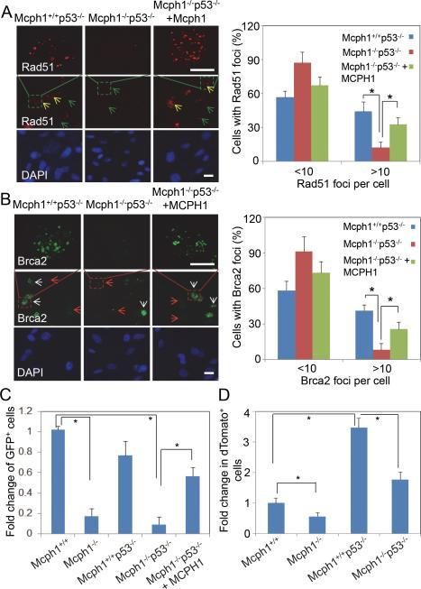 https://cdn.ncbi.nlm.nih.gov/pmc/blobs/4b26/4417661/66e353c9dea5/nihms-632239-f0006.jpg