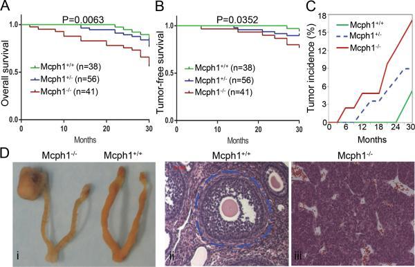 https://cdn.ncbi.nlm.nih.gov/pmc/blobs/4b26/4417661/f4079484acb4/nihms-632239-f0001.jpg