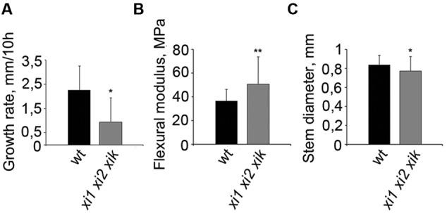 https://cdn.ncbi.nlm.nih.gov/pmc/blobs/4b27/5174092/69ecc390d098/fpls-07-01932-g006.jpg