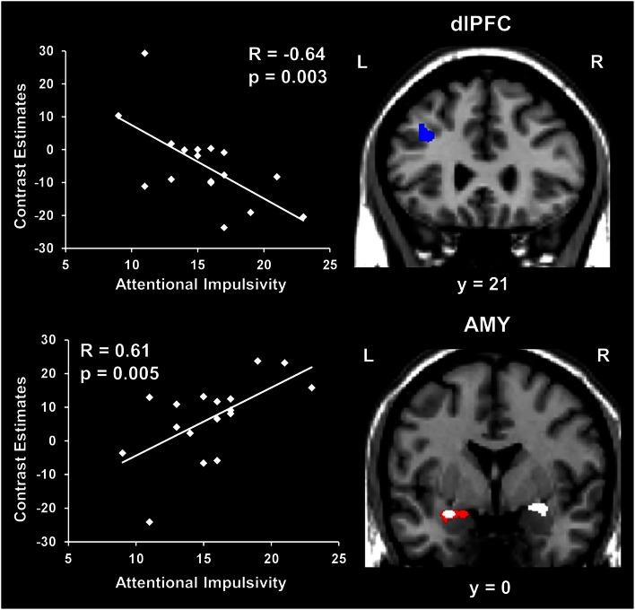 https://cdn.ncbi.nlm.nih.gov/pmc/blobs/4b29/3674478/8e989585cbbe/fpsyg-04-00293-g005.jpg