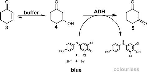 https://cdn.ncbi.nlm.nih.gov/pmc/blobs/4b2c/4052635/8f274a936271/s13568-014-0030-2-3.jpg