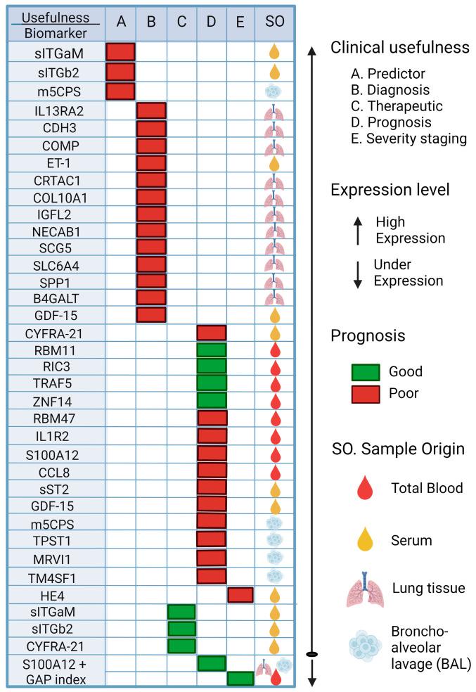 https://cdn.ncbi.nlm.nih.gov/pmc/blobs/4b2e/10855955/ebe49a6f6782/ijms-25-01562-g004.jpg