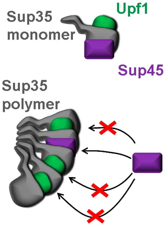 https://cdn.ncbi.nlm.nih.gov/pmc/blobs/4b2e/6275000/53d3f7089998/ijms-19-03663-g004.jpg