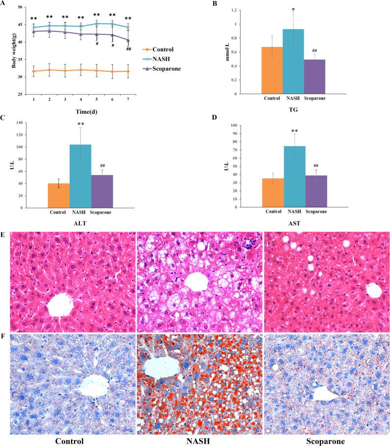 https://cdn.ncbi.nlm.nih.gov/pmc/blobs/4b2f/11122033/48c51a2b575c/peerj-12-17380-g001.jpg
