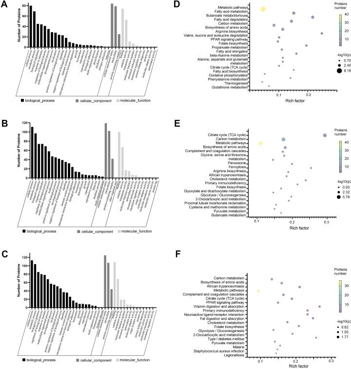 https://cdn.ncbi.nlm.nih.gov/pmc/blobs/4b2f/11160430/47b124e1a9bf/peerj-12-17485-g002.jpg