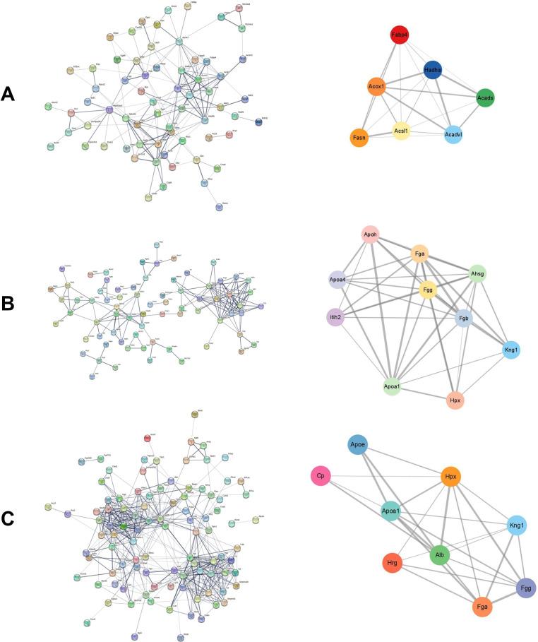https://cdn.ncbi.nlm.nih.gov/pmc/blobs/4b2f/11160430/a7e6cd480735/peerj-12-17485-g003.jpg
