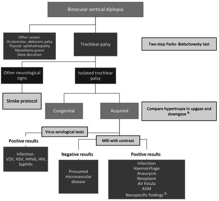 https://cdn.ncbi.nlm.nih.gov/pmc/blobs/4b2f/8111274/aac2d05014ac/10.1177_03000605211008292-fig2.jpg