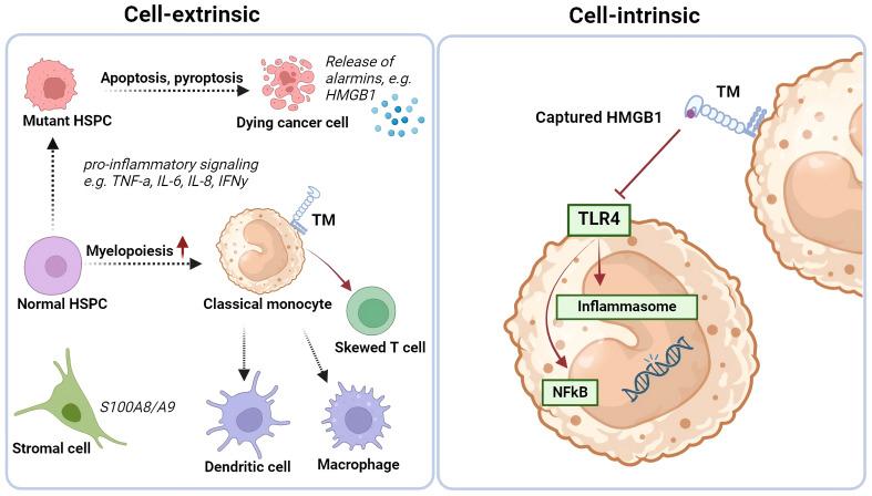 https://cdn.ncbi.nlm.nih.gov/pmc/blobs/4b30/11310157/bf226cadfb55/fonc-14-1414102-g004.jpg