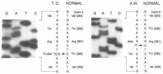 https://cdn.ncbi.nlm.nih.gov/pmc/blobs/4b31/1682550/0736cf699241/ajhg00077-0141-b.jpg