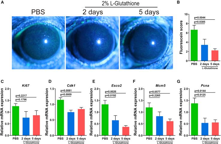 https://cdn.ncbi.nlm.nih.gov/pmc/blobs/4b32/9133657/b9c1da9e7c9f/gr5.jpg
