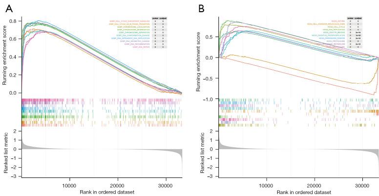 https://cdn.ncbi.nlm.nih.gov/pmc/blobs/4b32/9459646/976dfa37578f/tcr-11-08-2902-f6.jpg