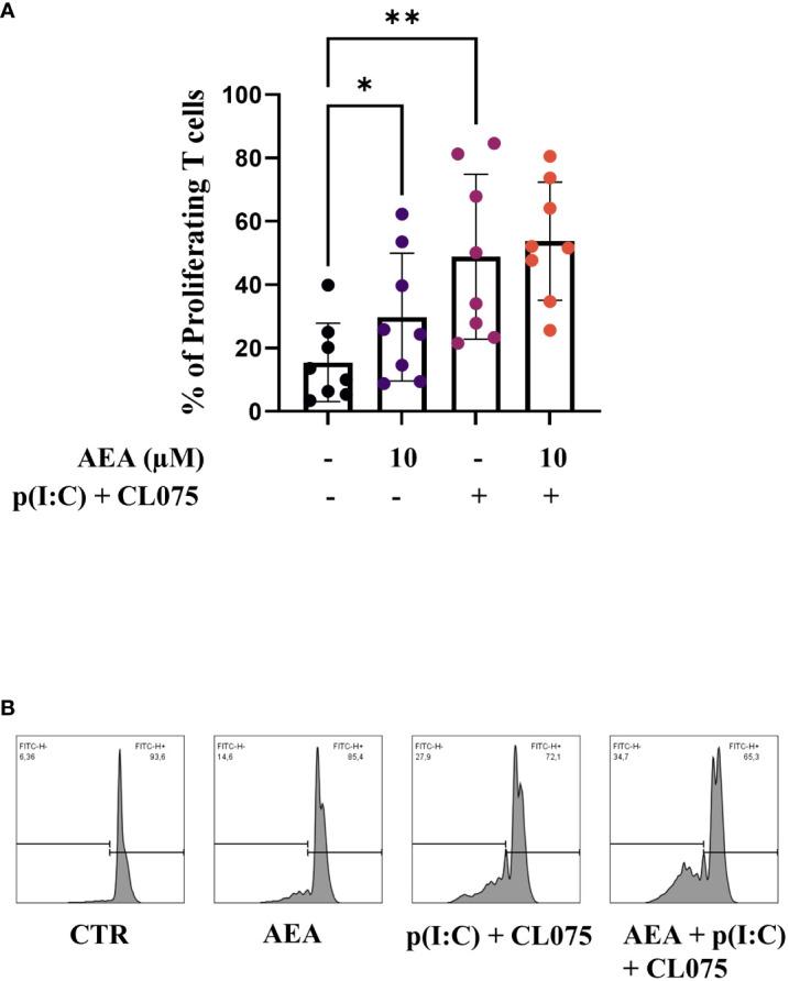 https://cdn.ncbi.nlm.nih.gov/pmc/blobs/4b34/11228147/6614bf0b3519/fimmu-15-1423776-g004.jpg