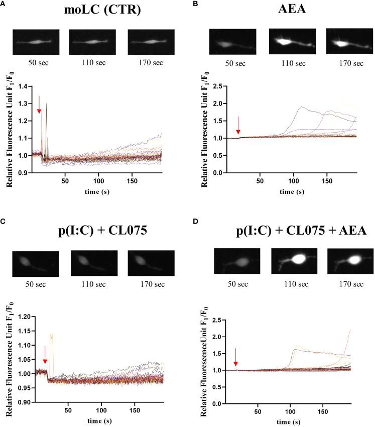 https://cdn.ncbi.nlm.nih.gov/pmc/blobs/4b34/11228147/9e4cfdb347e0/fimmu-15-1423776-g003.jpg