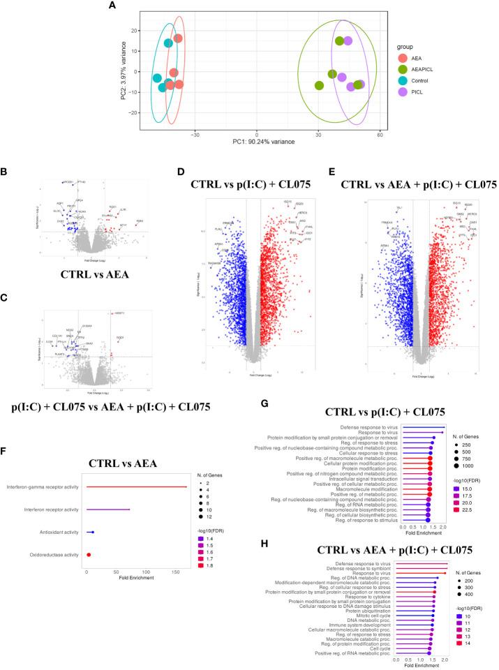 https://cdn.ncbi.nlm.nih.gov/pmc/blobs/4b34/11228147/c06bc18d450a/fimmu-15-1423776-g005.jpg
