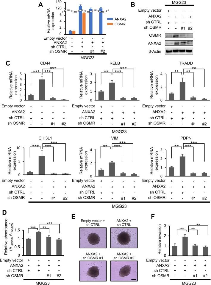 https://cdn.ncbi.nlm.nih.gov/pmc/blobs/4b34/7132881/6e6cfc2a42bc/40478_2020_916_Fig2_HTML.jpg