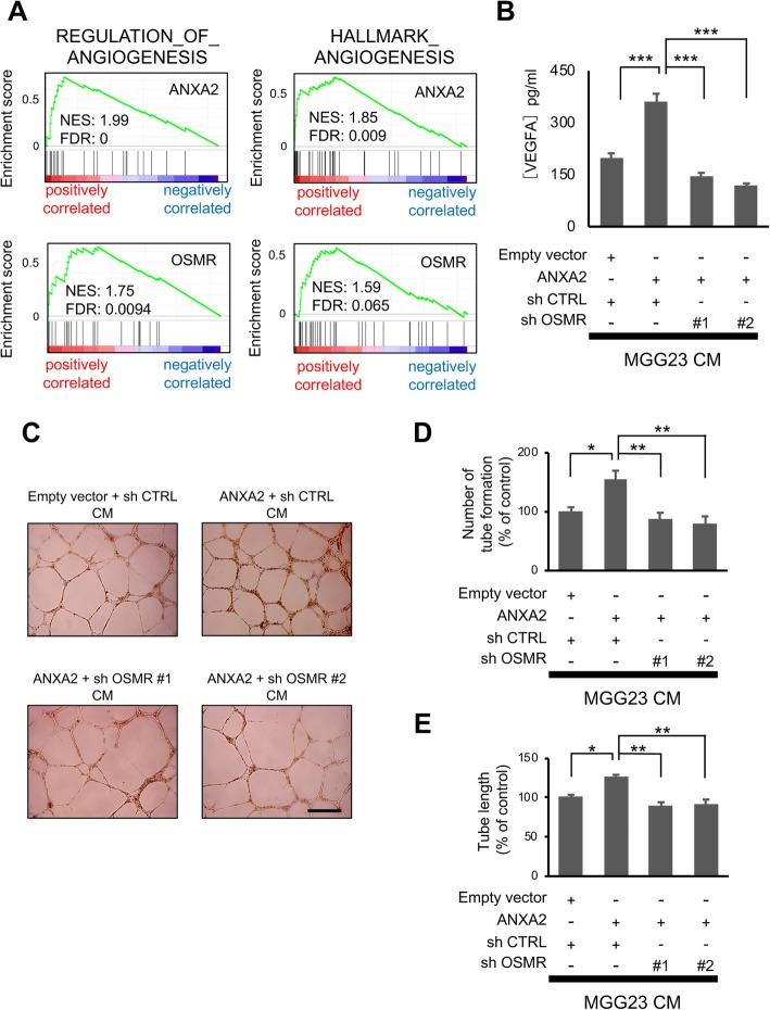 https://cdn.ncbi.nlm.nih.gov/pmc/blobs/4b34/7132881/f084d9ac7c58/40478_2020_916_Fig3_HTML.jpg