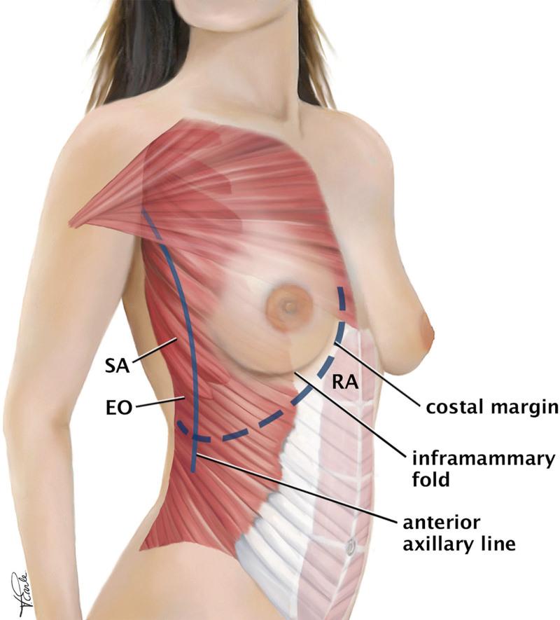https://cdn.ncbi.nlm.nih.gov/pmc/blobs/4b35/11191962/ed012c066211/gox-12-e5852-g001.jpg