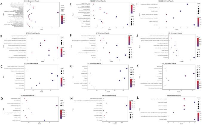 https://cdn.ncbi.nlm.nih.gov/pmc/blobs/4b39/12049343/19d63a503d6d/12672_2025_2396_Fig7_HTML.jpg