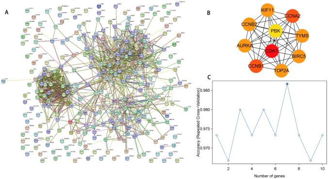 https://cdn.ncbi.nlm.nih.gov/pmc/blobs/4b39/12049343/264f924b48f3/12672_2025_2396_Fig4_HTML.jpg